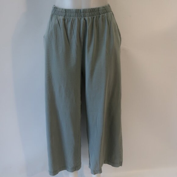 Women Z Supply Sage Green Flat Front Pull-On Wide Leg Cropped Pants M - Picture 1 of 9